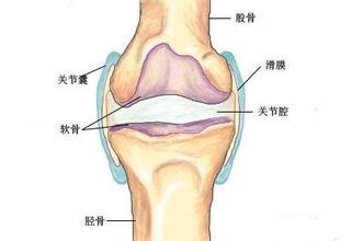 滑膜炎专业介绍